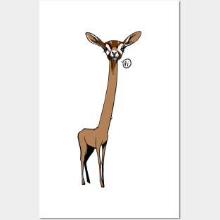 Funny animal gerenuk says hi Posters and Art